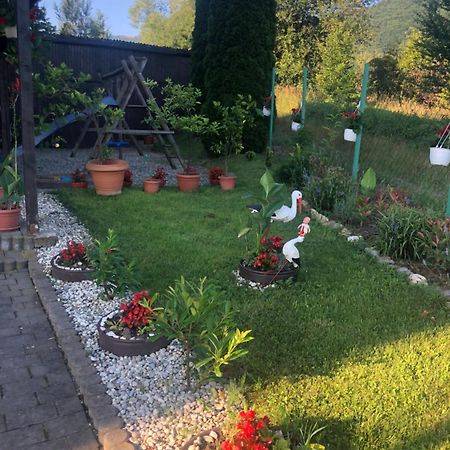 Pensiunea Casa Cu Flori Чиснъдиоара Екстериор снимка