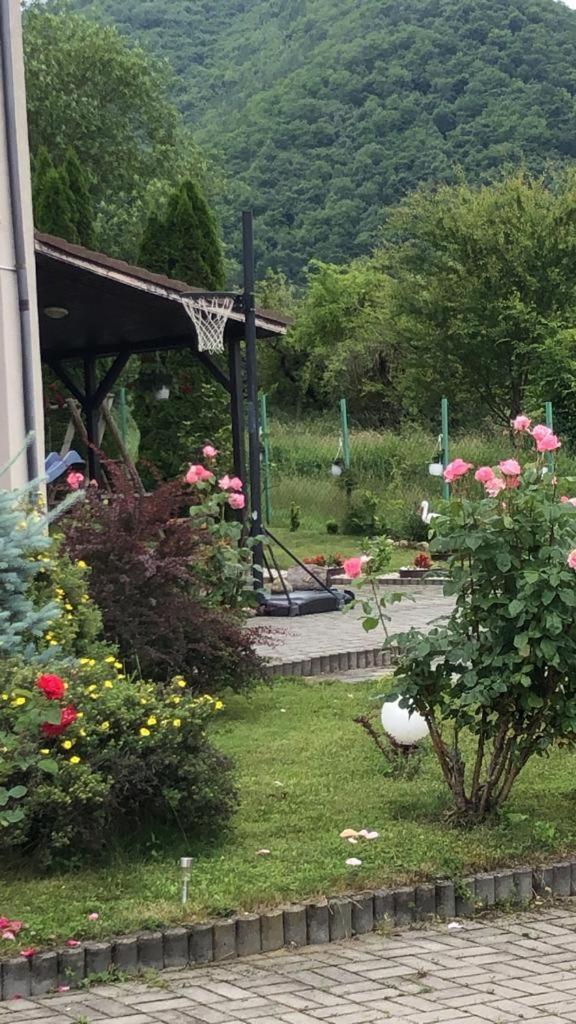 Pensiunea Casa Cu Flori Чиснъдиоара Екстериор снимка