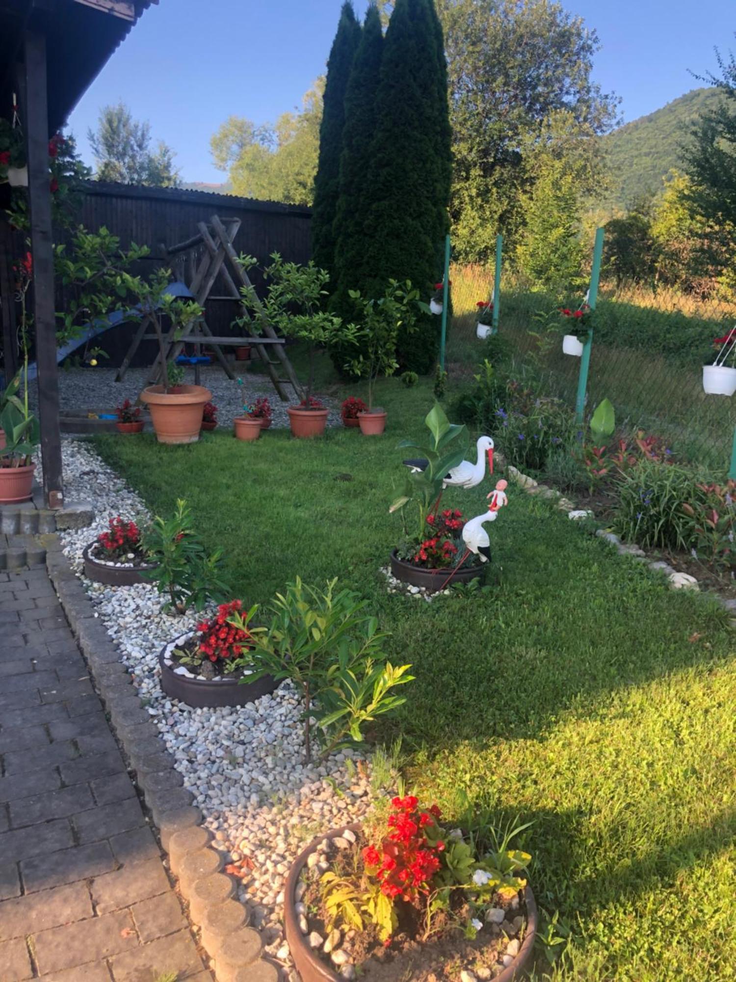 Pensiunea Casa Cu Flori Чиснъдиоара Екстериор снимка